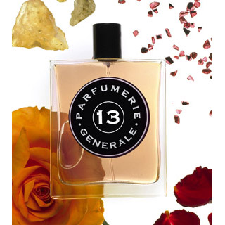 Pierre Guillaume - 13 Brulure de Rose