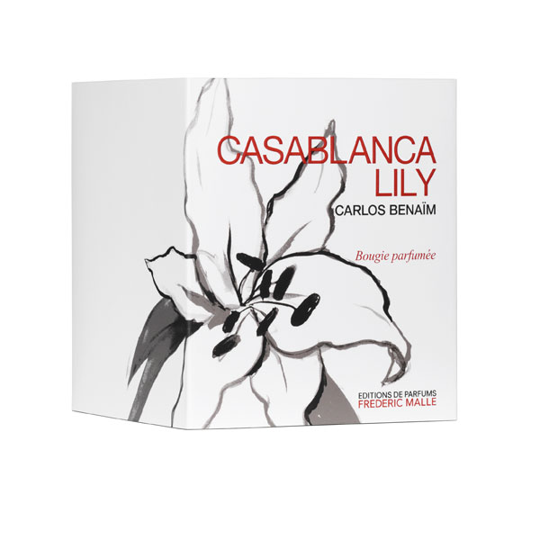 FM - Casablanca Lily By Carlos Benaim