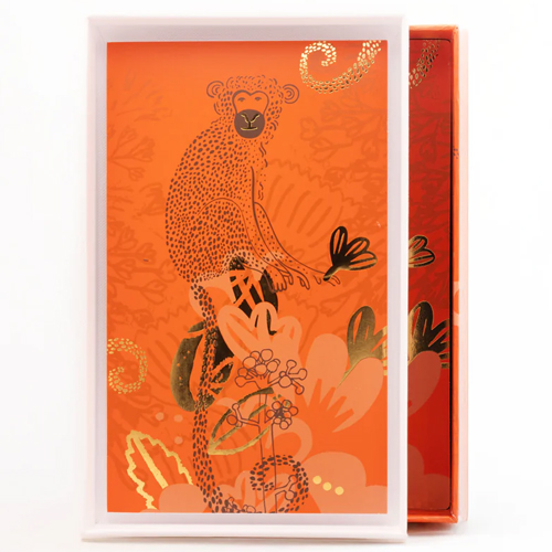 Noéme Paris - Kalahari Extreme