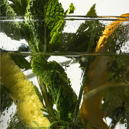 D: Sol MMXVI - Herbes