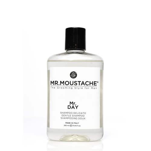 Mr. Moustache - Mr Day