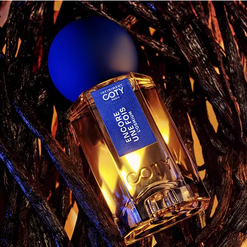 Encore une Fois Extrait